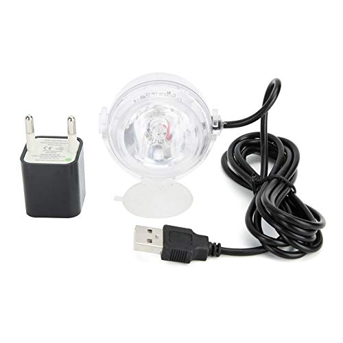 Unterwasser LED Licht Teichbeleuchtung für Garten, Aquarium, Vase, Badewanne und Pool - Wasserlicht (Weiß) von Cikonielf