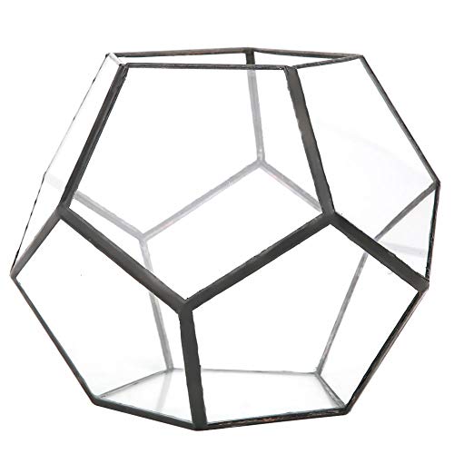 Glasterrarium Stilvolle geometrische Form Glasblumentopf Sukkulenten Pflanze Pflanzgefäß Container Landschaft Dekoration für Farn Moos Luftpflanzen Miniatur Einweihungsparty Geschenk von Cikonielf