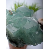 Xl Grüne Fluorit Würfel Formation Auf Matrix 7.67lbs Xianghualing Xl Grüne Fluorit Würfel Formation Auf Matrix 7.67lbs Xianghualing von CincyMinerals