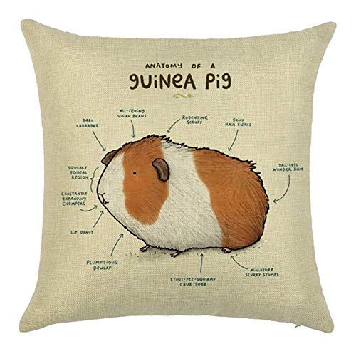 Cinnanal Kissenbezüge Nackenrolle Kissenhülle Klein Meerschweinchen Seide Zierkissenbezüge Herbst Kissenbezug Sitzkissen Dekorative Für Das Sofa Im Wohnzimmer Braun Weiß Beige 50X50Cm von Cinnanal