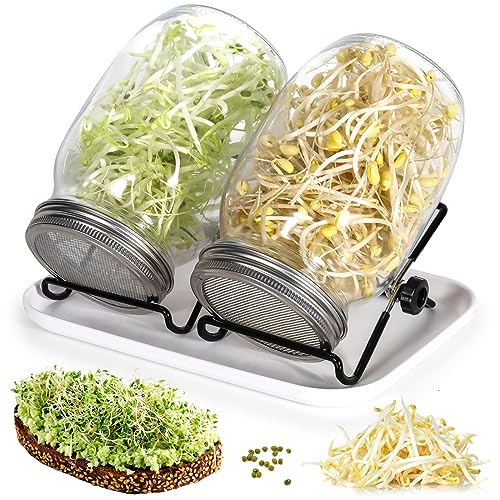 Cinnani Sprossenglas Keimglas 2er Set, 2 x 1000ml Sprossenglas mit 2 Edelstahl Deckel, 2 Einstellbare Halterung und 1 Tablett, Keimgerät Ideal für Alfalfa Brokkoli Radieschen Mungobohnen von Cinnani