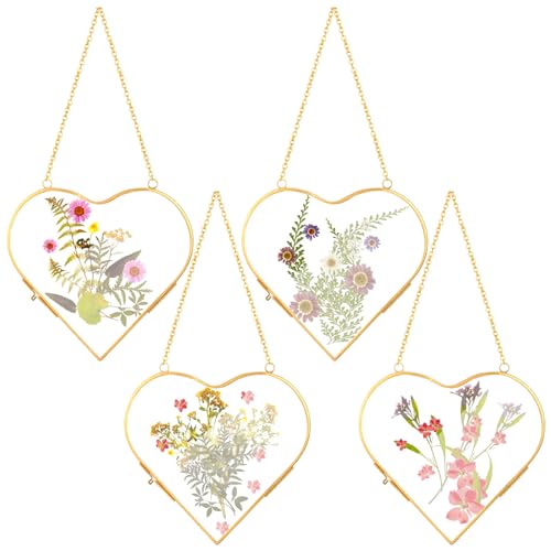 Cinnvoice 4 Stück gepresste Glasblumen-Rahmen in Herzform, zum Aufhängen, Doppelglas, schwimmende Rahmen, gepresste getrocknete Blumen, Pflanzen, klare Vintage-Galerie-Wanddekoration von Cinnvoice