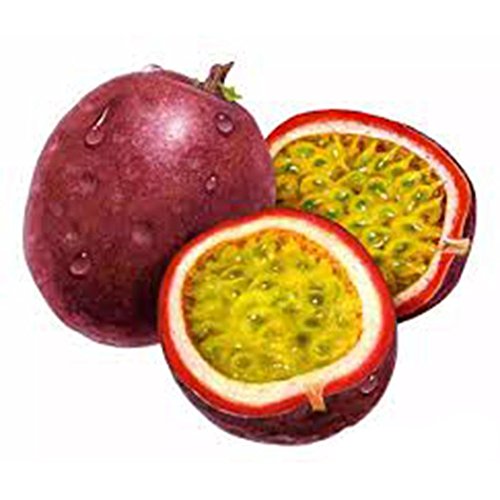 Cioler 20Samen Passionsfrucht Samen Maracuja Samen Obstsamen Obst Bäume Outdoor Obst Samen Fruchtsamen für Garten Pflanzen Cioler 20Samen Passionsfrucht Samen Maracuja Samen Obstsamen Obst Bäume Outdoor Obst Samen Fruchtsamen für Garten Pflanzen von Cioler