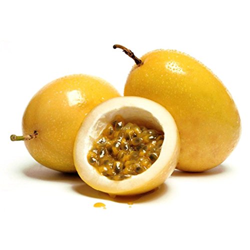 Cioler 20Samen Passionsfrucht Samen Maracuja Samen Obstsamen Obst Bäume Outdoor Obst Samen Fruchtsamen für Garten Pflanzen von Cioler