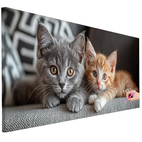 Diamond Painting XXL Groß 80x30cm Diamond Painting Katze Bilder Set 5D Diamant Kunst Niedlich Bastelset Erwachsene, DIY Full Diamant Malerei Kreativ Set für Erwachsene für Wanddeko Geschenke F-11 Diamond Painting XXL Groß 80x30cm Diamond Painting Katze Bilder Set 5D Diamant Kunst Niedlich Bastelset Erwachsene, DIY Full Diamant Malerei Kreativ Set für Erwachsene für Wanddeko Geschenke F-11 von Ciooyxee