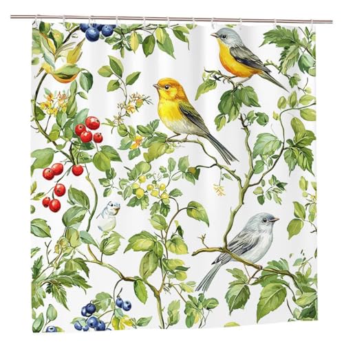 Duschvorhang 180x180 Duschvorhang Anlage Duschrollo mit Gewicht Duschvorhänge Badewanne Vogel Wasserdicht Polyester Duschrollo Waschbar Duschvorhänge mit 12 Haken für Badezimmer Badewanne Dusche A-49 von Ciooyxee