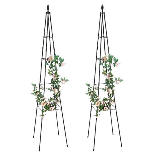2 Stück Rosenspalier: Metall Rankgitter für Garten, Balkon und Terrasse, 170cm, ideal für Rosen und andere Kletterpflanzen 2 Stück Rosenspalier: Metall Rankgitter für Garten, Balkon und Terrasse, 170cm, ideal für Rosen und andere Kletterpflanzen von Ciounmb