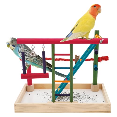 Ciounmb Papageien Spielzeug Vogel Schaukel Stand Massivholz Kletterleiter für Haustiere geeignet für 1-5 Papageien Fördert Flexibilität und Aktivität für Käfig oder Outdoor Ciounmb Papageien Spielzeug Vogel Schaukel Stand Massivholz Kletterleiter für Haustiere geeignet für 1-5 Papageien Fördert Flexibilität und Aktivität für Käfig oder Outdoor von Ciounmb