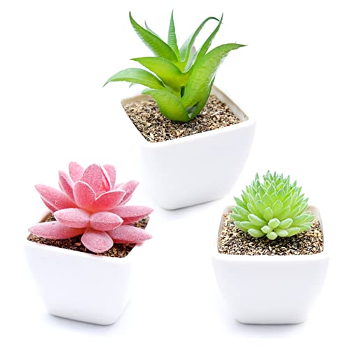 Cisolen 3 Stück Mini Künstliche Sukkulenten mit Topf Pflanzen Set Dekorative Gefälschte Sukkulenten Dekorativen Fälschung Sukkulenten für Haus Büro Schreibtisch Tisch Balkon Deko DIY Geschenk von Cisolen