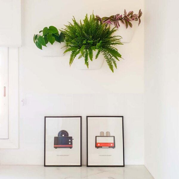 CitySens 3er-Pack Wand-Blumentopf mit automatischer Bewässerung von CitySens