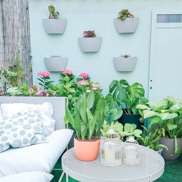 CitySens 3er-Pack Wand-Blumentopf mit automatischer Bewässerung CitySens 3er-Pack Wand-Blumentopf mit automatischer Bewässerung von CitySens