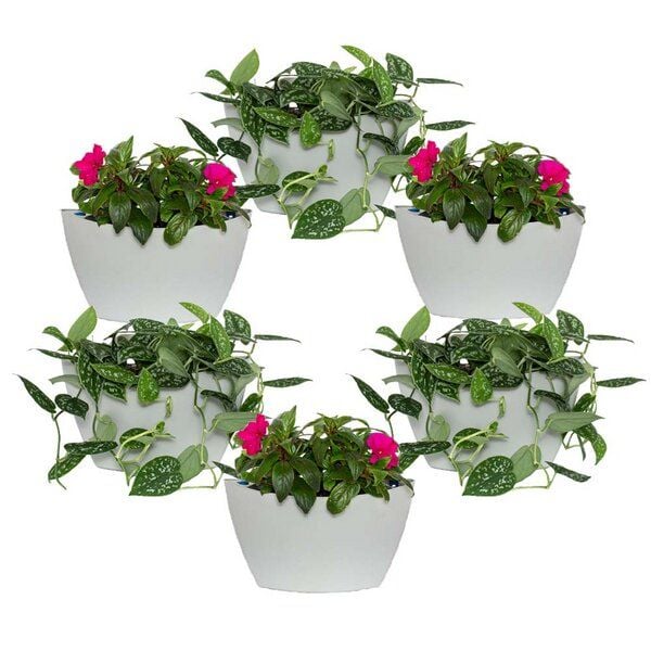 CitySens 6er-Pack Wand-Blumentopf mit automatischer Bewässerung CitySens 6er-Pack Wand-Blumentopf mit automatischer Bewässerung von CitySens