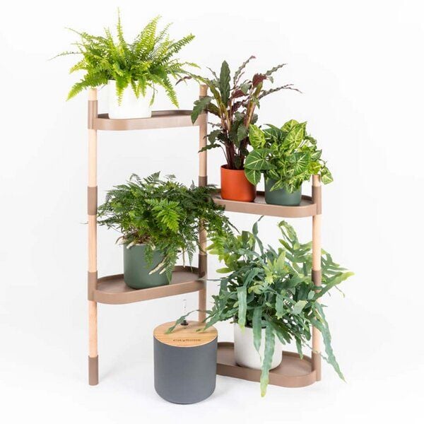 CitySens Blumenregal mit 4 Ablagen und automatischer Bewässerung. von CitySens