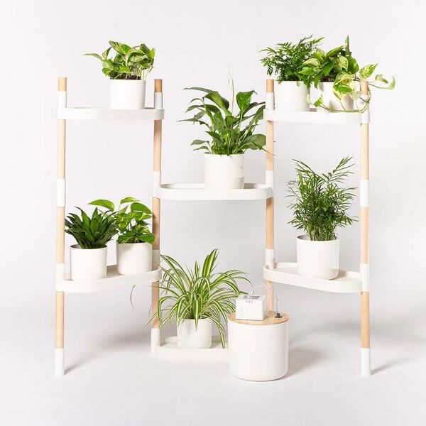 CitySens Blumenregal mit 6 Ablagen und automatischer Bewässerung. von CitySens