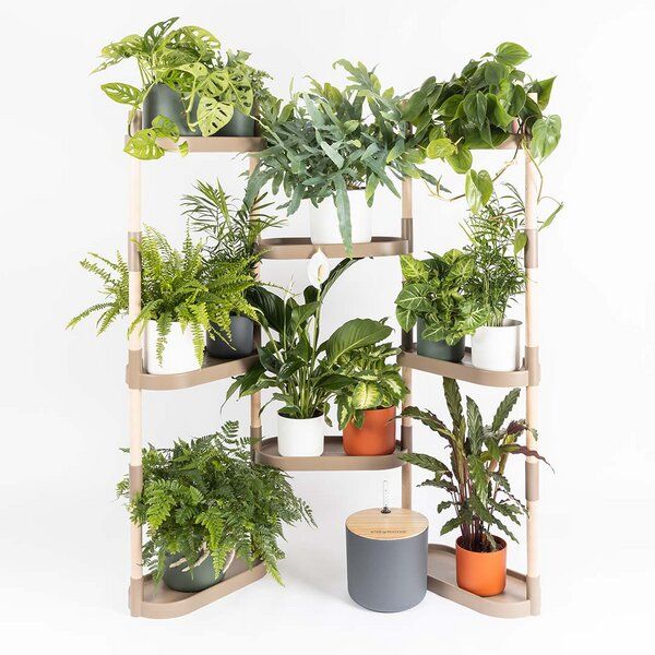 CitySens Blumenregal mit 8 Ablagen und automatischer Bewässerung. von CitySens
