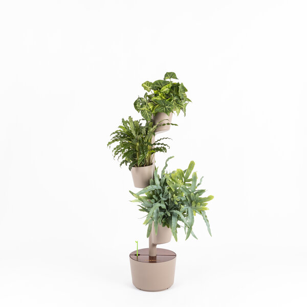 CitySens Vertikaler Blumentopf mit 3 luftreinigenden Pflanzen von CitySens