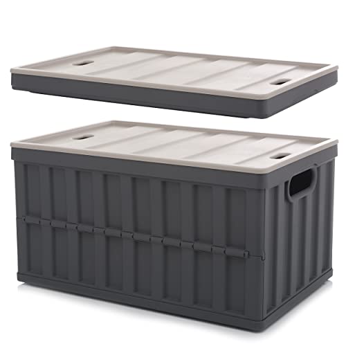 Citylife 2er Set 64L Faltbare Campingbox Aufbewahrungsbox mit Deckel, Collapsible Storage Bins für die Organisation große Heavy Outdoor, Bad, Küche, Büro, Wohnzimmer (grau) von Citylife