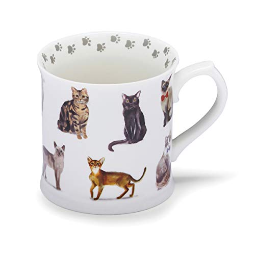 Cooksmart Britisches Design Bierkrug Kaffeetasse | Keramik-Kaffeetassen für Zuhause oder Arbeit | große Tassen für heiße Getränke | Tee- und Kaffeetassen – Neugierige Katzen von Cooksmart