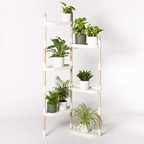 Citysens – Blumenregal mit 6 Regalböden, Weiß von Citysens