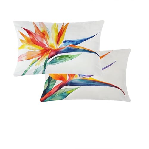 Outdoor Kissenbezug 40x70cm Orange Farbe Kissenbezug Herbst Garten Zierkissenbezüge Blumen Samt Sofakissenbezüge Doppelseitiges Druckdesign Für Deko Wohnzimmer Schlafzimmer Stuhl Sofa Balkon T776 Outdoor Kissenbezug 40x70cm Orange Farbe Kissenbezug Herbst Garten Zierkissenbezüge Blumen Samt Sofakissenbezüge Doppelseitiges Druckdesign Für Deko Wohnzimmer Schlafzimmer Stuhl Sofa Balkon T776 von Cjwcclcn