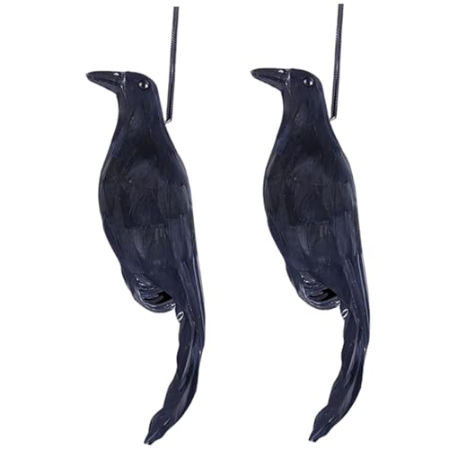 Ckuakiwu 2 schwarze Krähen, realistische gefiederte Raben-Dekoration, schwarzer Vogel für Halloween-Requisiten, Haus, Hof, Garten, künstliche Krähe Ckuakiwu 2 schwarze Krähen, realistische gefiederte Raben-Dekoration, schwarzer Vogel für Halloween-Requisiten, Haus, Hof, Garten, künstliche Krähe von Ckuakiwu