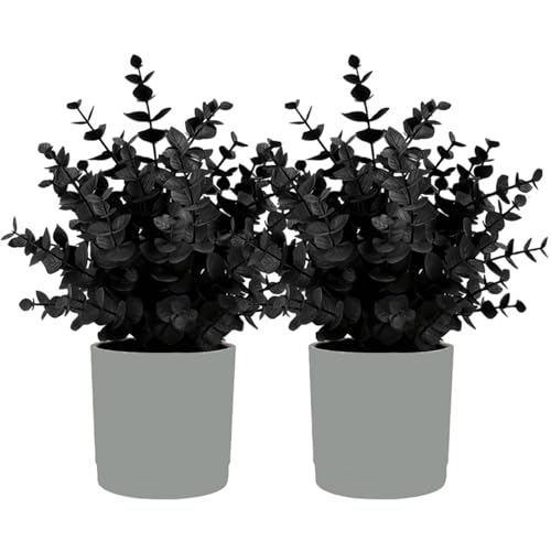 Ckuakiwu Künstliche Eukalyptuspflanzen, realistischer PVC-Eukalyptus, künstliche Topfpflanzen für den Innenbereich, für Halloween, Zuhause, Couchtisch, 2 Stück Ckuakiwu Künstliche Eukalyptuspflanzen, realistischer PVC-Eukalyptus, künstliche Topfpflanzen für den Innenbereich, für Halloween, Zuhause, Couchtisch, 2 Stück von Ckuakiwu
