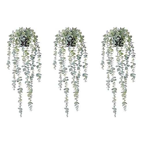 ClAZTyict 3 Stück Künstliche Hängende Pflanzen Gefälschte Eukalyptus Hängende Pflanze Im Topf für Wand, Heim, Terrasse, Innen- und Außenbereich, Dekoration ClAZTyict 3 Stück Künstliche Hängende Pflanzen Gefälschte Eukalyptus Hängende Pflanze Im Topf für Wand, Heim, Terrasse, Innen- und Außenbereich, Dekoration von ClAZTyict