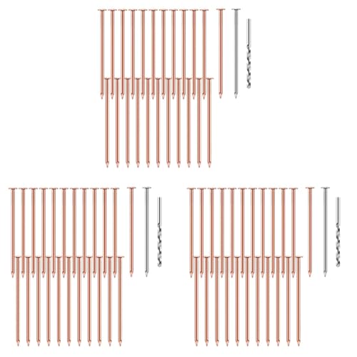 ClAZTyict 75 Stück Kupfernägel zum Töten Von Bäumen, 3,5 Große Reine Kupfernägel, Stumpfentfernungsspitzen, Hardware-Nägel für Bäume von ClAZTyict
