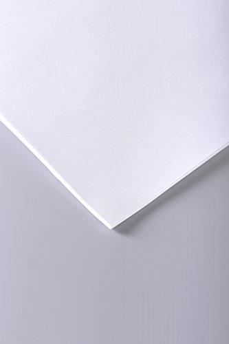 Clairefontaine 37255C Skizzenpapier (70 g, DIN A2, 42 x 59,4 cm, 250 Blatt, ideal für Künstler oder die Schule) weiß von Clairefontaine