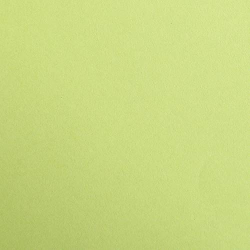 Clairefontaine 48052C Packung (mit 25 Bögen Zeichenpapier Maya, DIN A3, 29,7 x 42 cm, 270g, glatt, ideal für Trockentechnik und Einrahmen) lindgrün von Clairefontaine