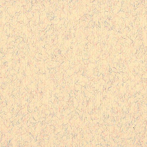 Clairefontaine 93504C Packung (mit 25 Blätter, 130 g, Ingres Pastell Papier, gekörnt, 50 x 65 cm, ideal für Trockentechnik) beige marmoriert von Clairefontaine