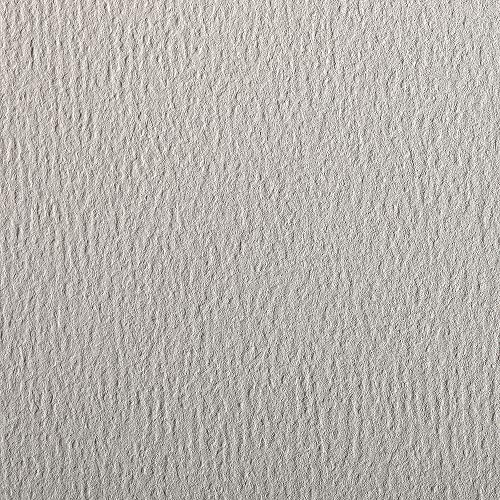 Clairefontaine 93781C Packung (mit 24 Bögen Zeichenpapier Etival Color, 50 x 65cm, 160g, gekörnt, ideal für Trockentechnik und Einrahmen) hellgrau von Clairefontaine