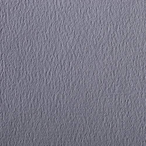 Clairefontaine 93868C Packung (mit 25 Bögen Zeichenpapier Etival Color, DIN A4, 21 x 29,7 cm, 160g, gekörnt, ideal für Trockentechnik und Einrahmen) dunkelgrau von Clairefontaine