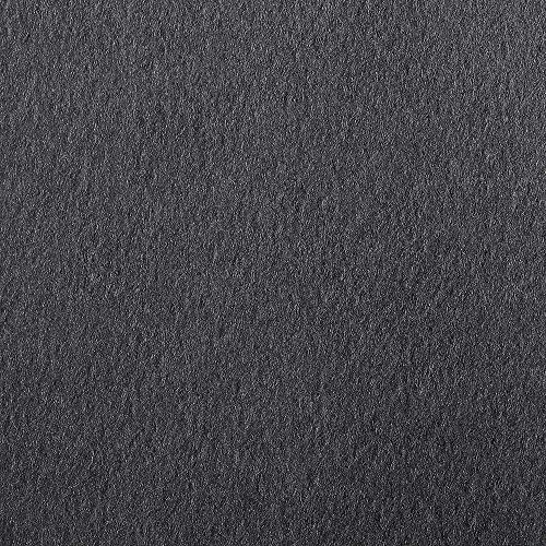 Clairefontaine 93870C Zeichenpapier Etival (DIN A4, 21 x 29,7 cm, 160 g, ideal für Trockentechniken, 25er Pack) schwarz von Clairefontaine