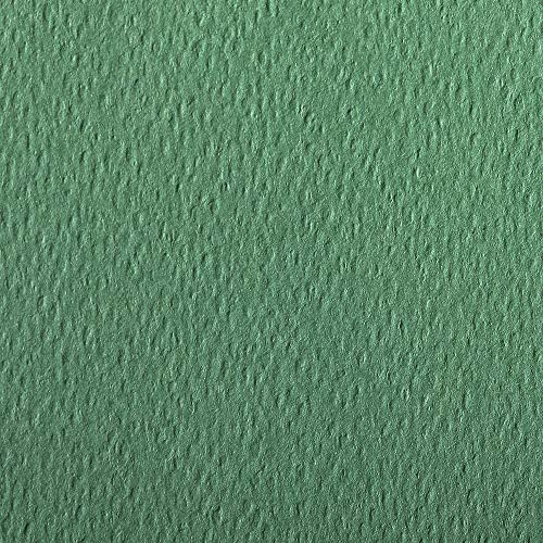 Clairefontaine 93878C Packung (mit 25 Bögen Zeichenpapier Etival Color, DIN A4, 21 x 29,7 cm, 160g, gekörnt, ideal für Trockentechnik und Einrahmen) dunkelgrün von Clairefontaine