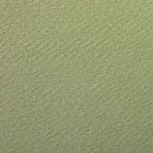 Clairefontaine 93884C Packung (mit 25 Bögen Zeichenpapier Etival Color, DIN A4, 21 x 29,7 cm, 160g, gekörnt, ideal für Trockentechnik und Einrahmen) olivgrün von Clairefontaine