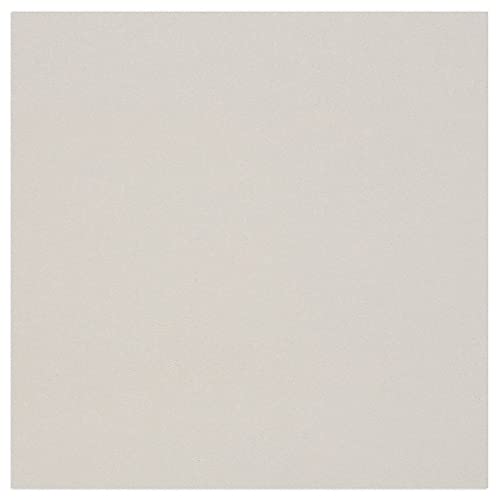 Clairefontaine 93981C Packung (mit 10 Bögen Pappe, 60 x 80 cm, 2,5 mm, 1625 g, ideal für Modellbau, leicht und glatt, 100% recycelt) 10er Pack grau von Clairefontaine