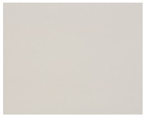 Clairefontaine 93987C Packung (mit 10 Bögen Pappe, 80 x 120 cm, 2,5 mm, 1625 g, ideal für Modellbau, leicht und glatt, 100% recycelt) 10er Pack grau von Clairefontaine