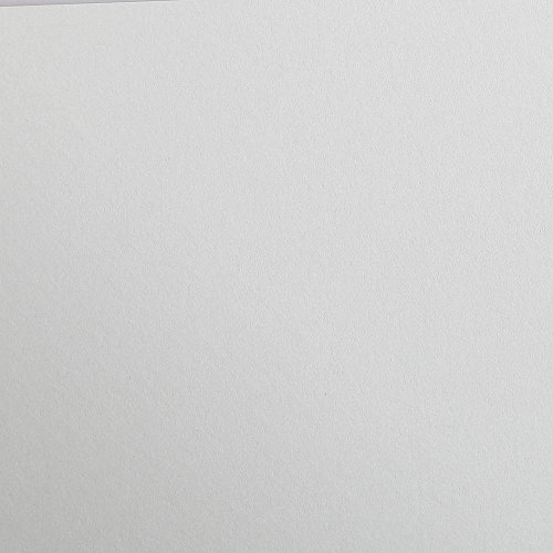 Clairefontaine 97172C Tonzeichenpapier Pack, 25 Bögen Premium, 50 x 70 cm, 120 g, hellgrau von Clairefontaine