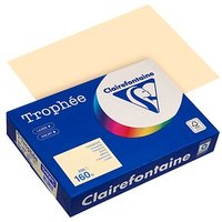 Clairefontaine Kopierpapier Trophée chamois DIN A4 160 g/qm 250 Blatt von Clairefontaine