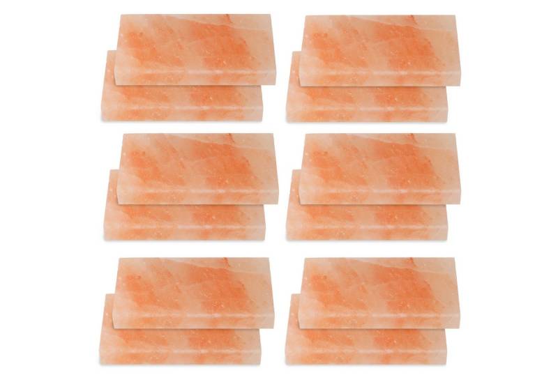 Clanmacy Grill-Salzstein 12X Mahlzeit Yakiniku Grillstein Hochwertiger Grillfliese 20x10x2,5cm (12-St) von Clanmacy