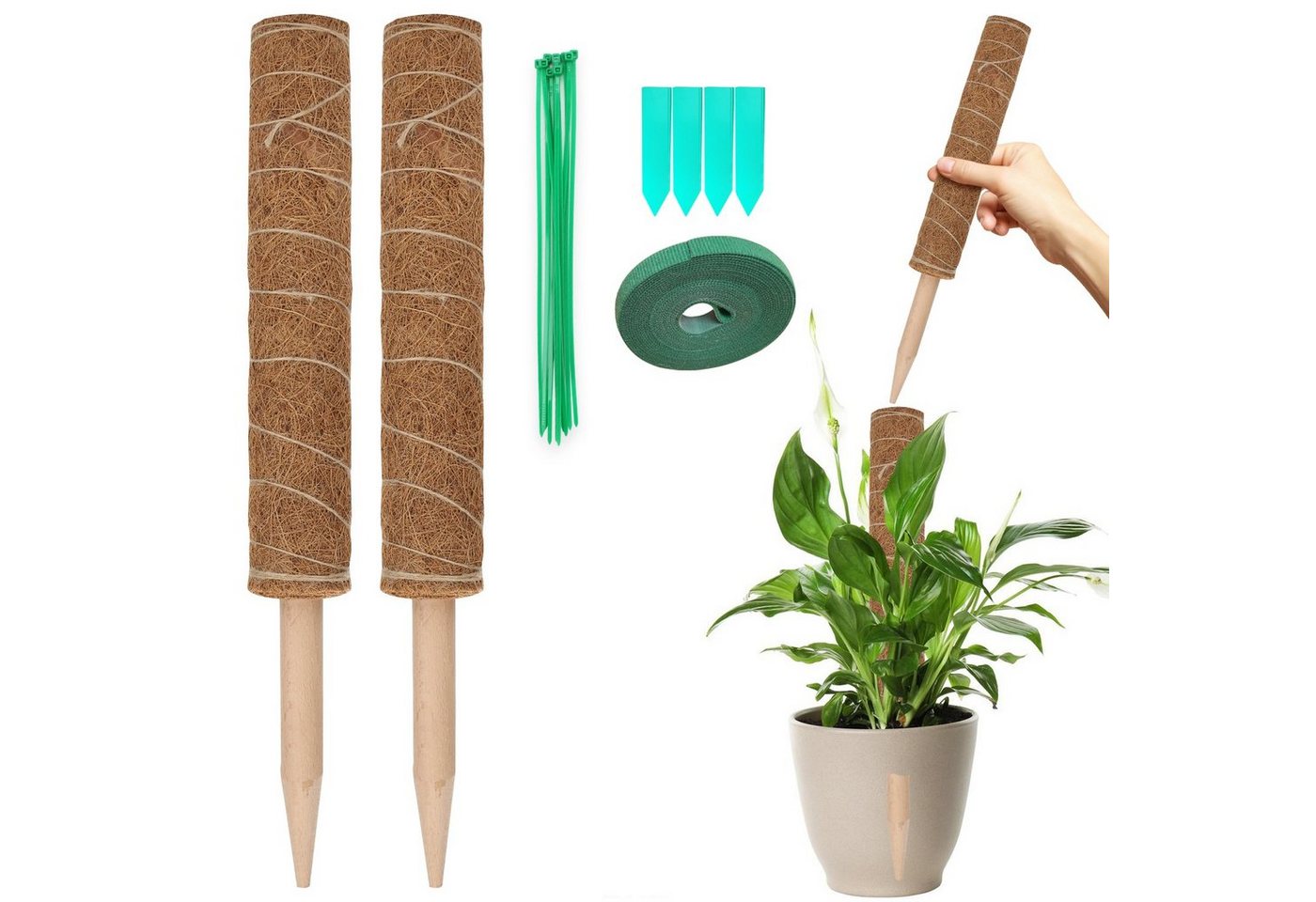 Clanmacy Rankhilfe 2X Pflanzstab Rankhilfe Rankstab Zimmerpflanzen Stütze Blumenstäbe, 2 St. Clanmacy Rankhilfe 2X Pflanzstab Rankhilfe Rankstab Zimmerpflanzen Stütze Blumenstäbe, 2 St. von Clanmacy