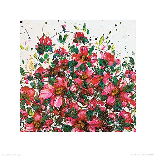 Clare Sykes Kunstdrucke, Papier, Mehrfarbig, 40 x 40 cm von Clare Sykes