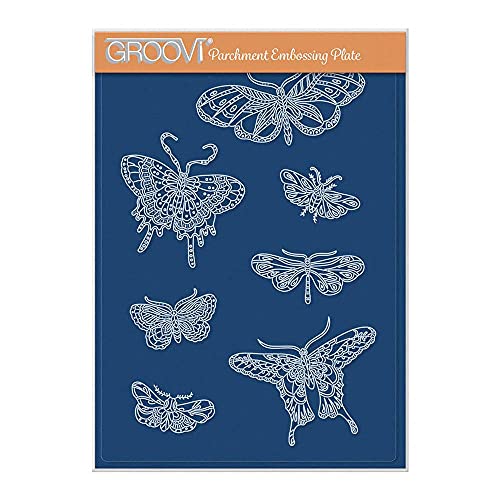 Clarity Stamps Cherry's Butterflies & Motten Groovi Teller A5 – Set 1 von Clarity Stamps