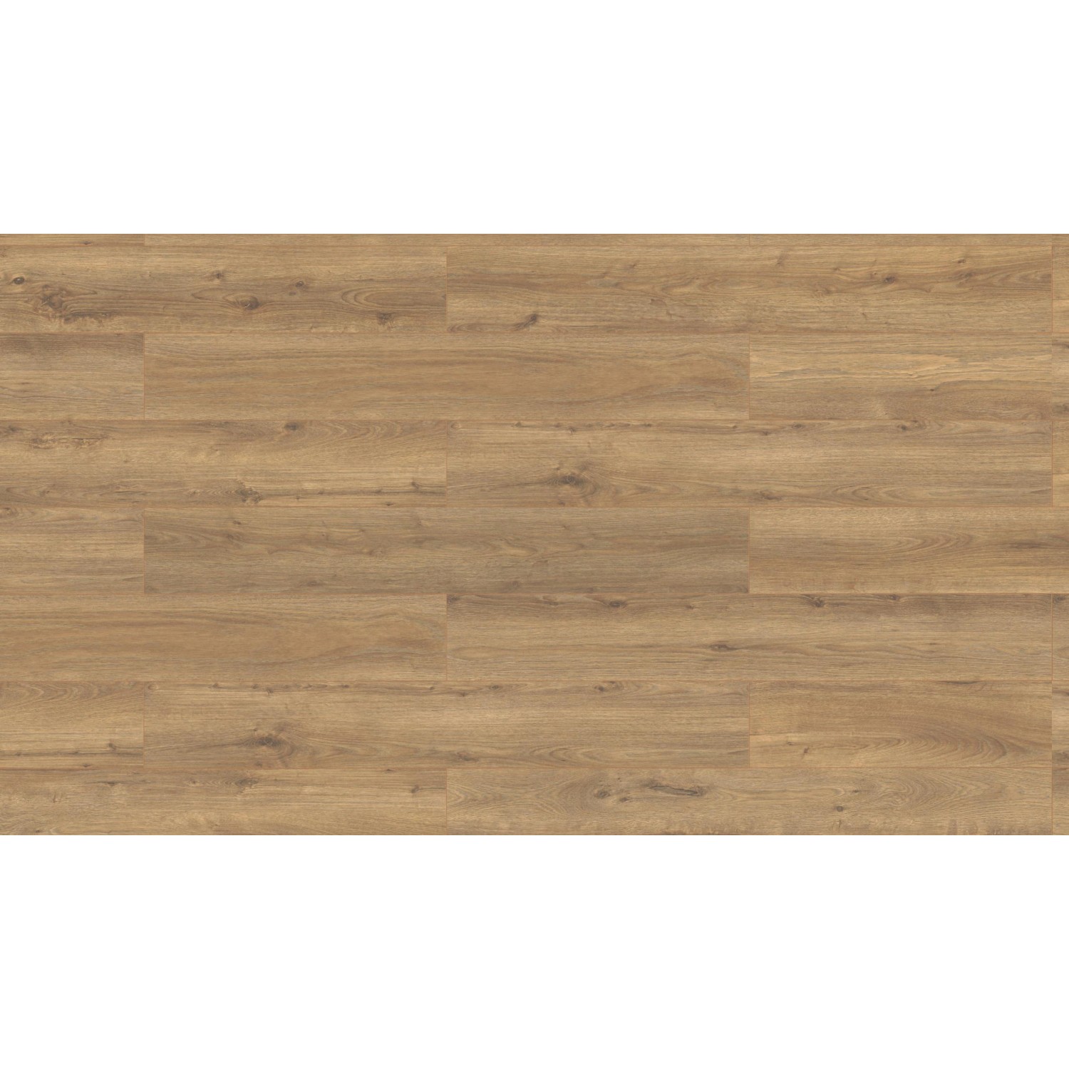 Classen Greenvinyl Handmuster Eiche Natur 40 mm x 173 mm x 300 mm von Classen Floors