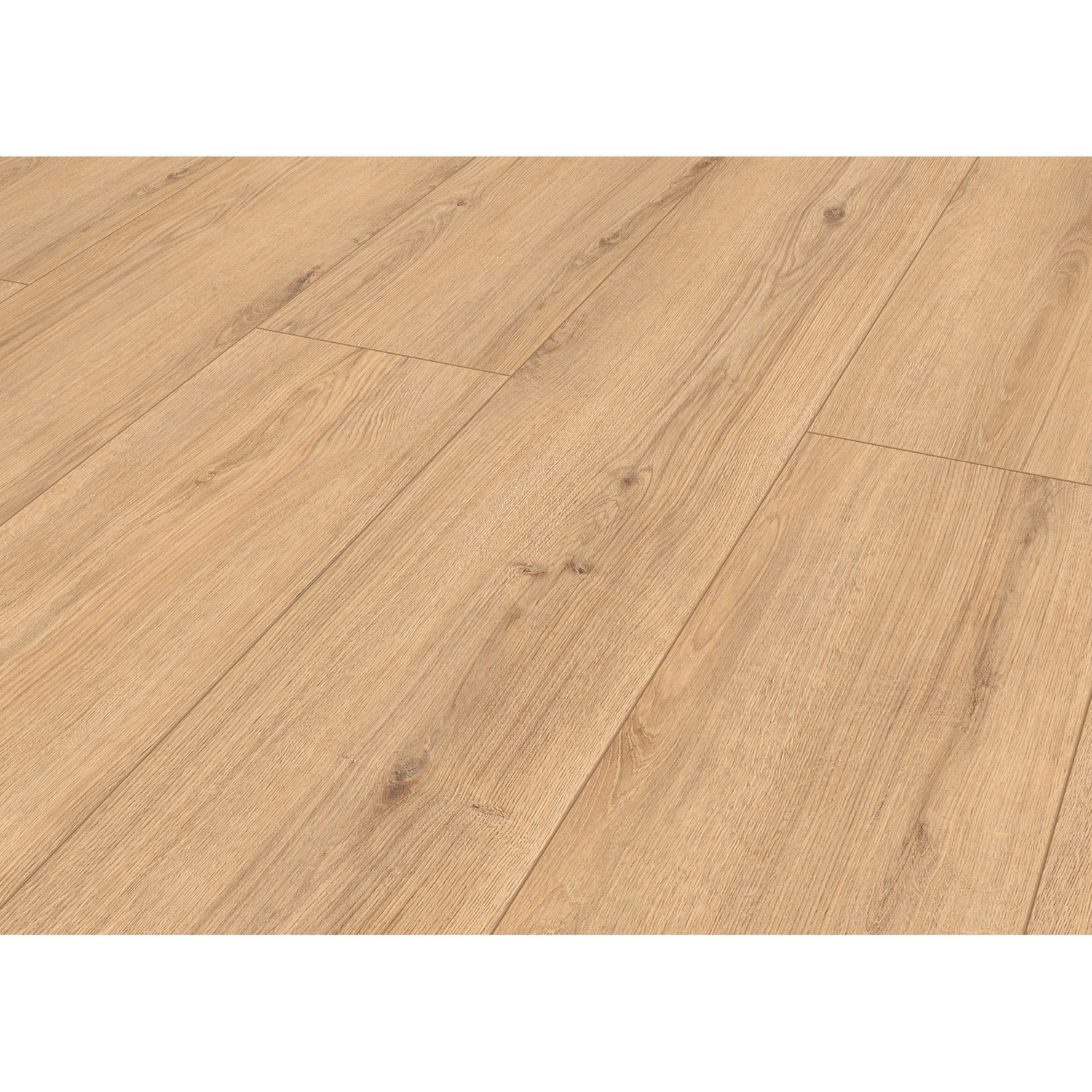 Classen Designboden HydroClick Königseiche Classen Designboden HydroClick Königseiche von Classen