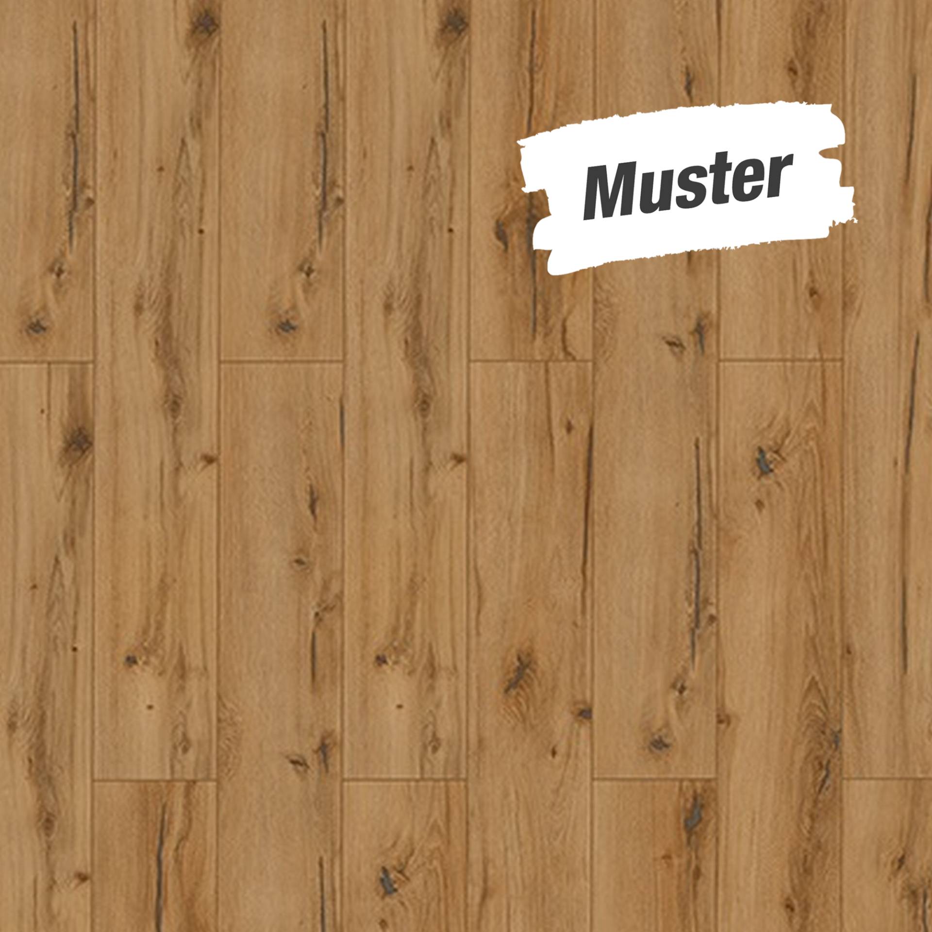 Classen Handmuster zum Laminat 'HydroClick' Steineiche 9 mm Classen Handmuster zum Laminat 'HydroClick' Steineiche 9 mm von Classen