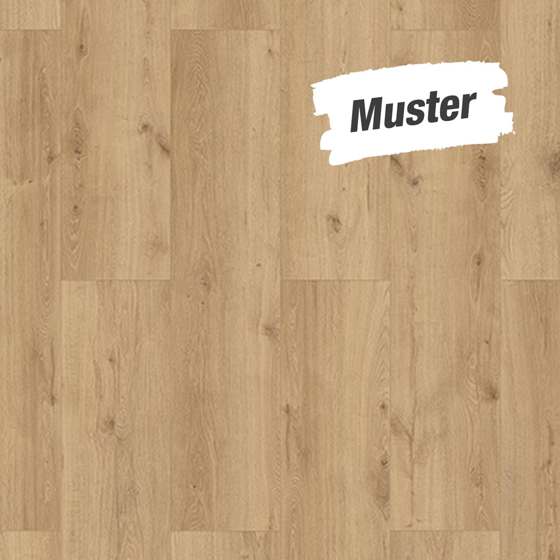 Classen Handmuster zum Laminat 'HydroClick' Stieleiche 9 mm Classen Handmuster zum Laminat 'HydroClick' Stieleiche 9 mm von Classen