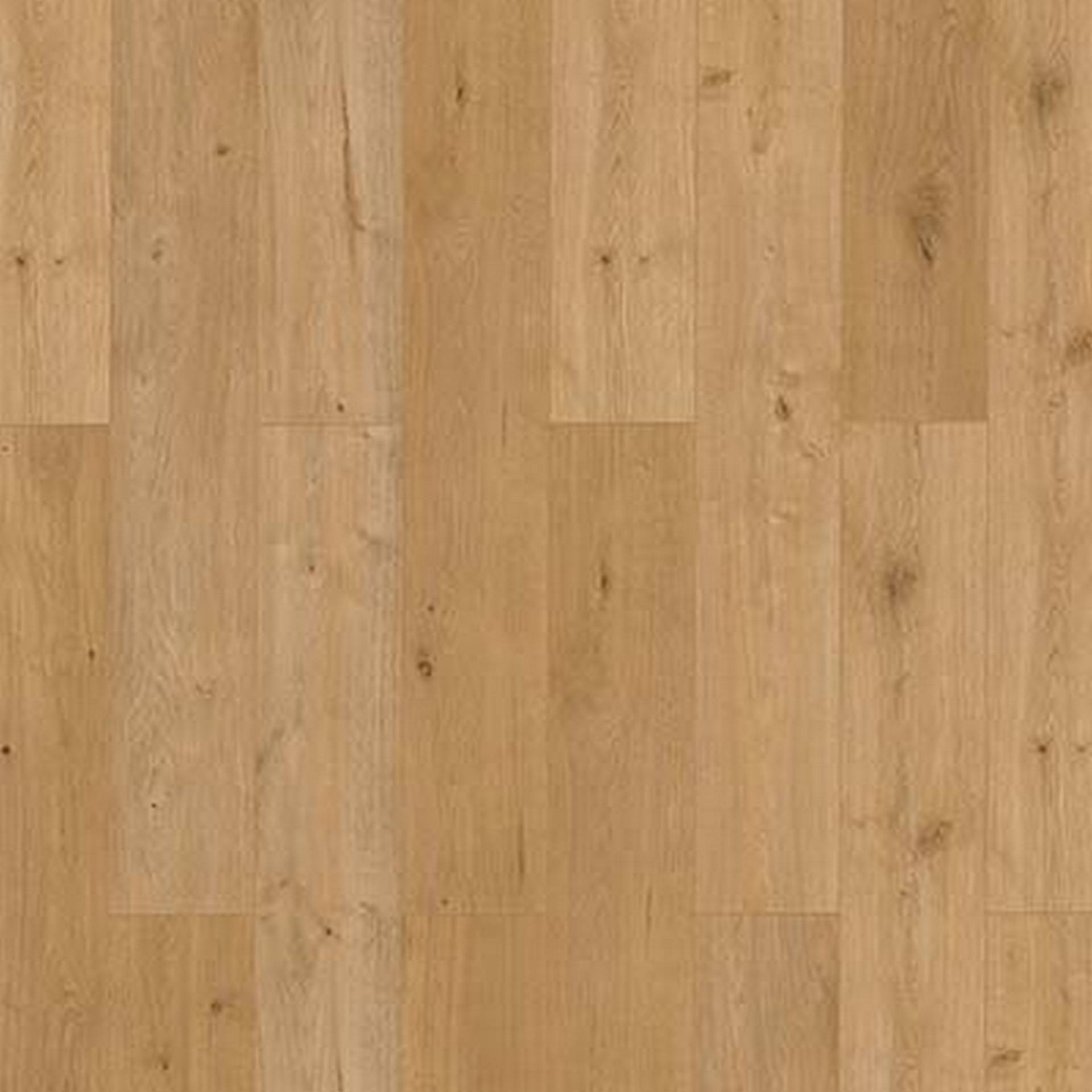 Classen Laminat '832-4 WR' Eiche natur Mix natur 8 mm von Classen