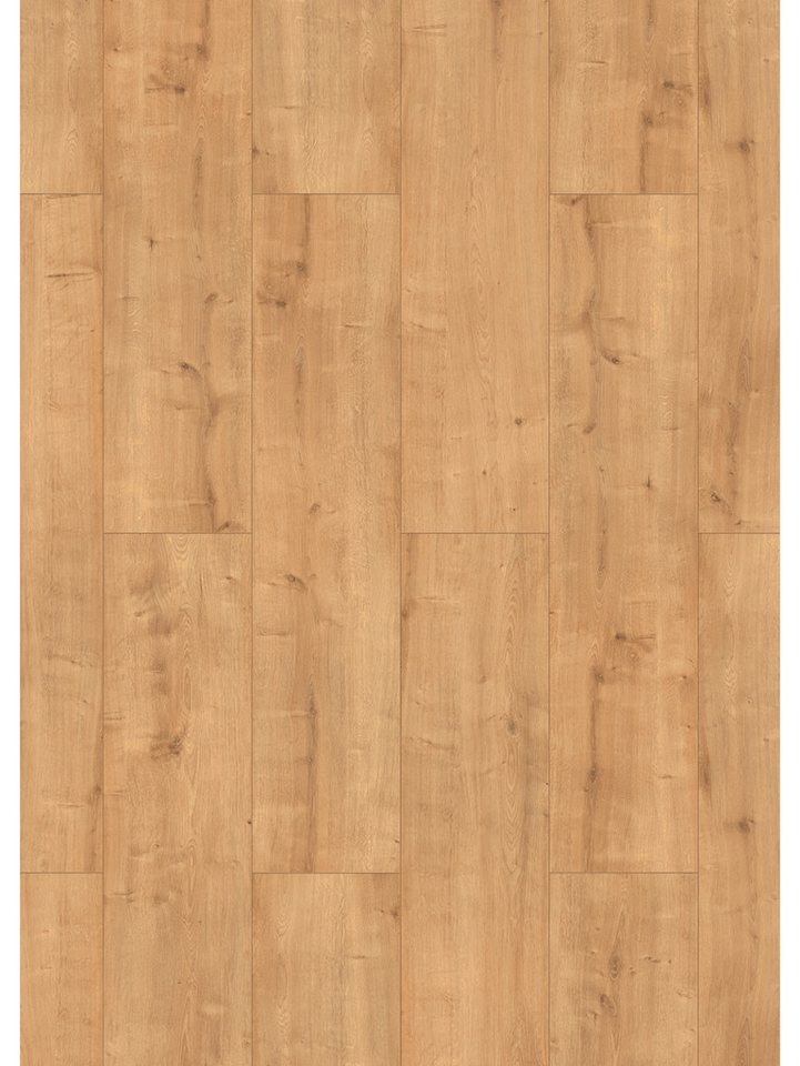 Classen Laminat Classen Grande XXL Carthage Eiche dunkelbeige von Classen